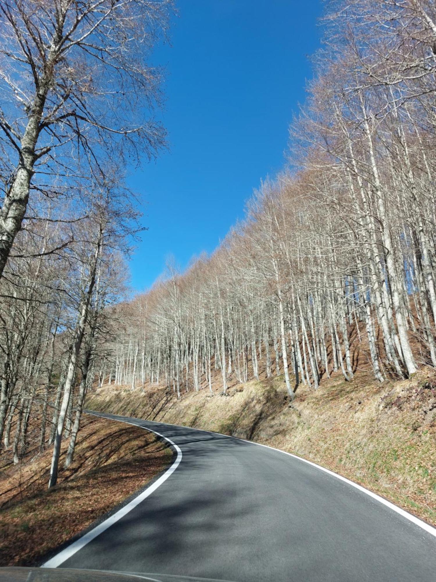 Venta De Arrieta Panzió Saragüeta Kültér fotó