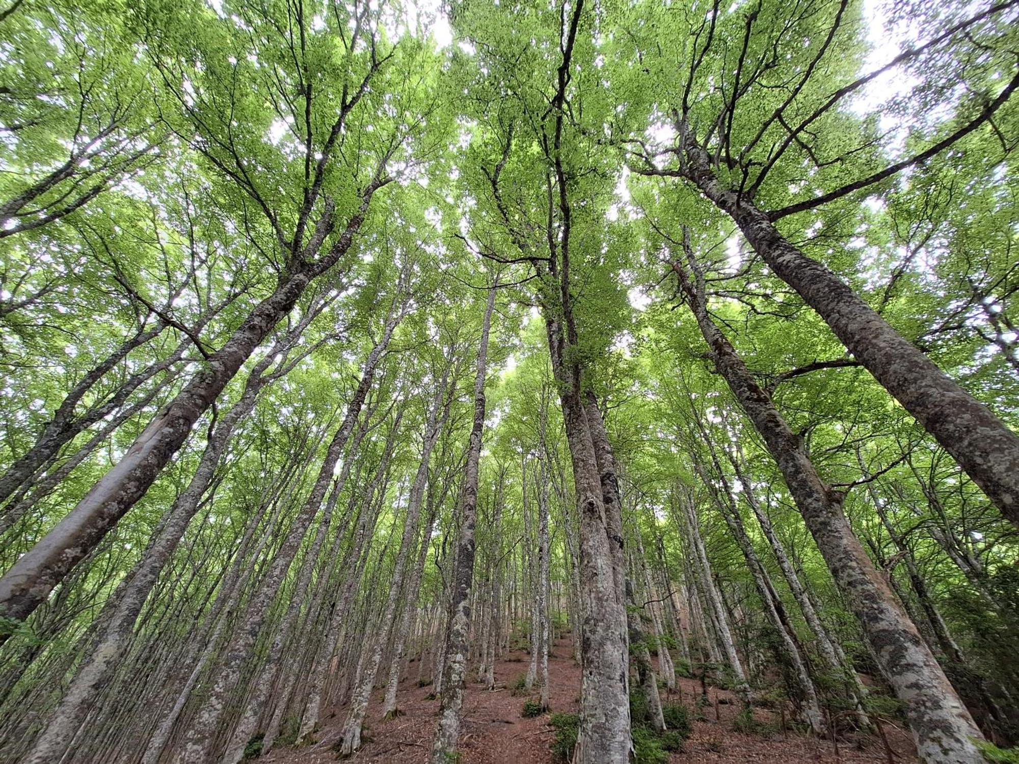 Venta De Arrieta Panzió Saragüeta Kültér fotó